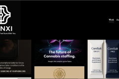 Appointment Setting & Cold Calling